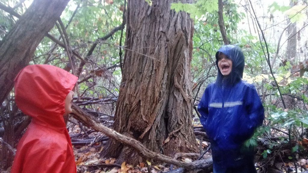 Nature Study With All Boys with Sarah Part 2