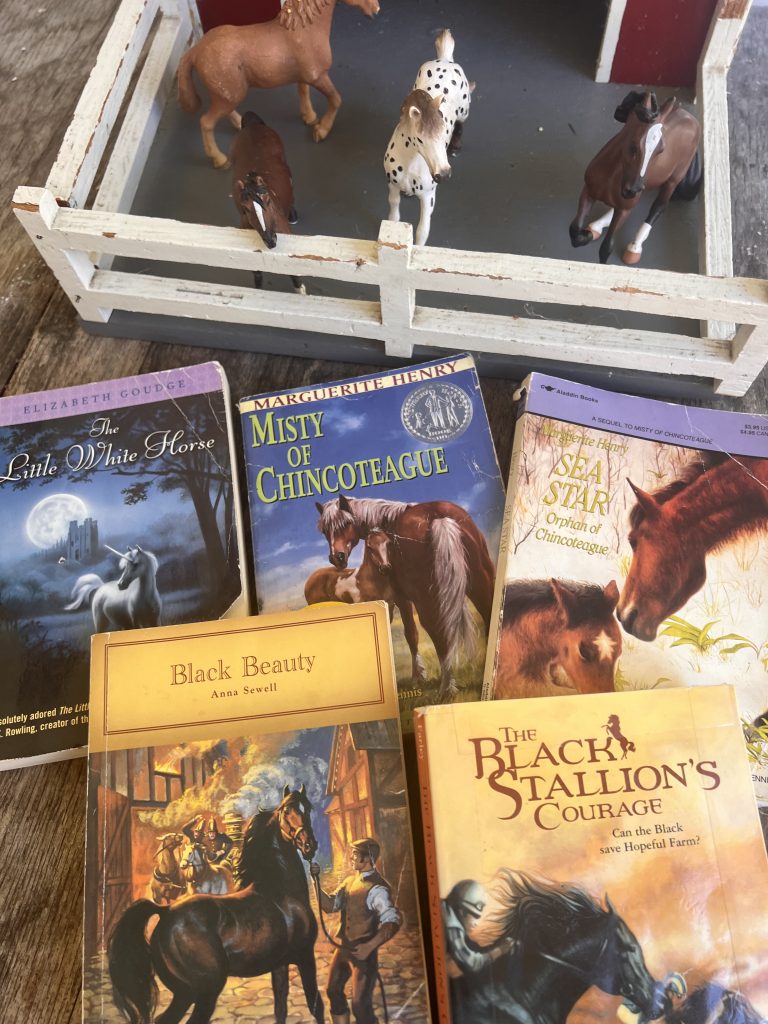 horse books for tweens