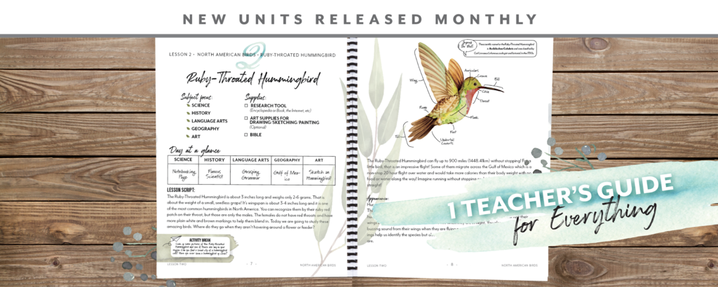 Gather 'Round Homeschool | Homeschool, Curriculum design, Homeschool curriculum